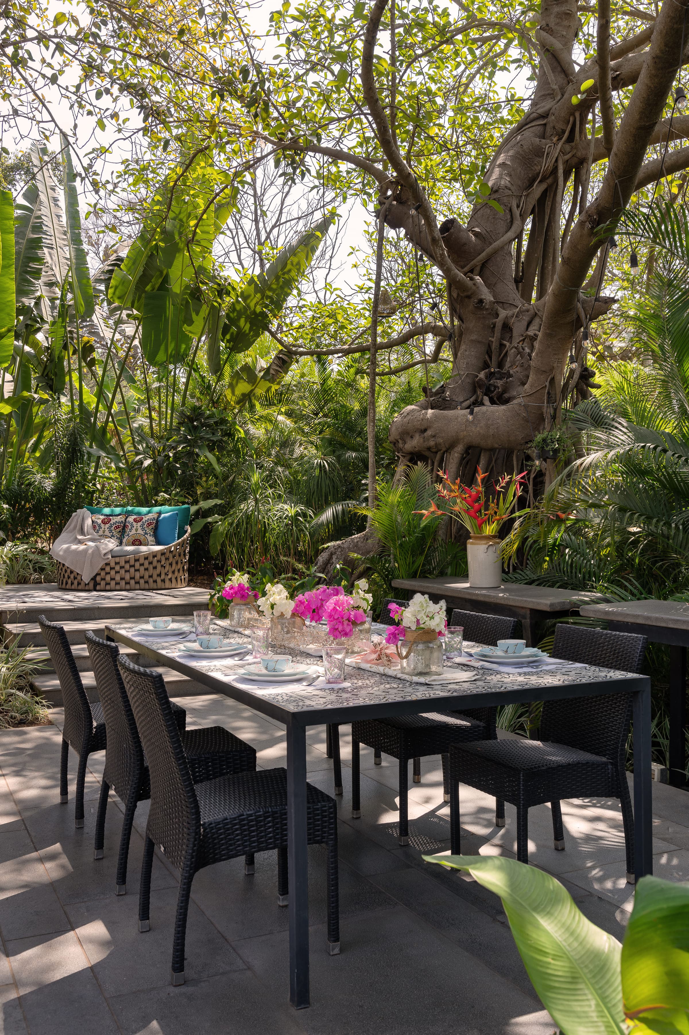 A long outdoor table set beneath the spreading branches of the banyan, dense planting on every side.