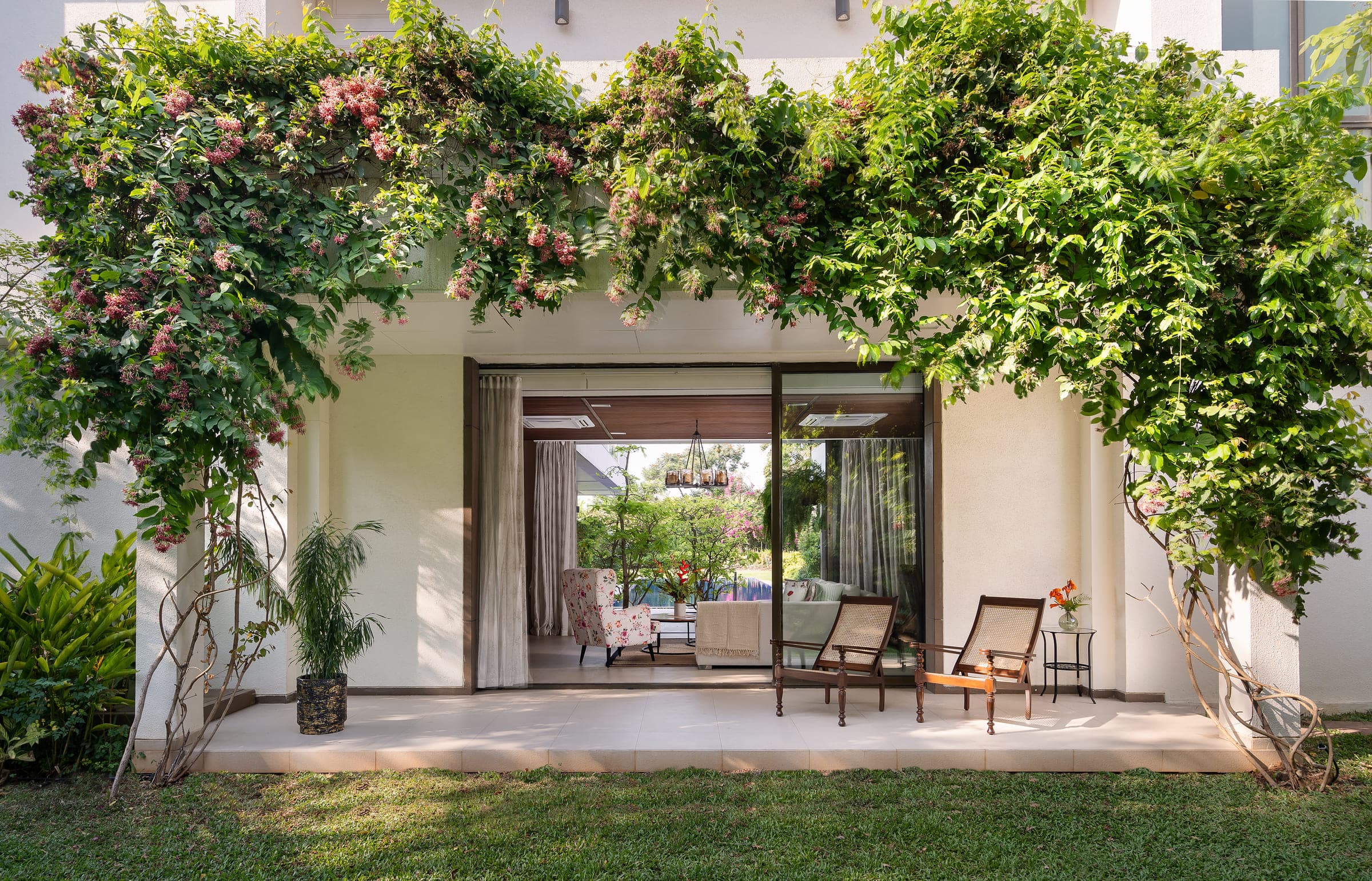 The entrance to the house in Alibaug, an opening in a white wall smothered in bougainvillea, looking through to the deck and the garden beyond.