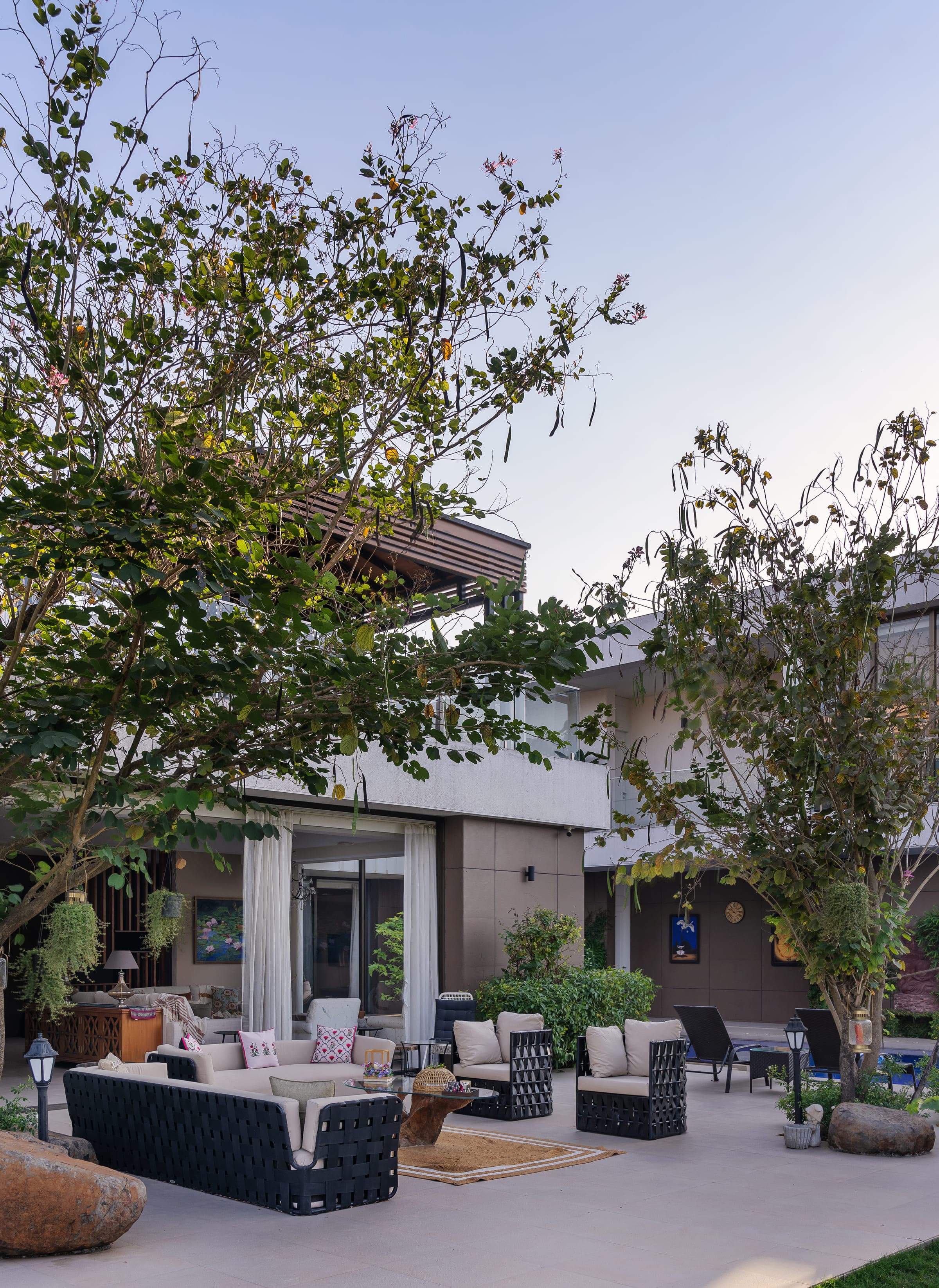 The deck seen from below the canopy, its branches spreading over the terrace seating.